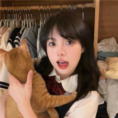 小狗吉米走私事件